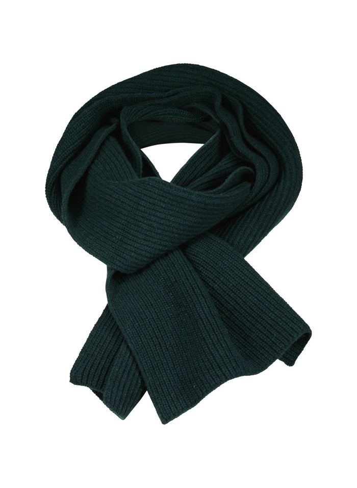 Alina Recycled Wool Scarf - Forest Green Baukjen