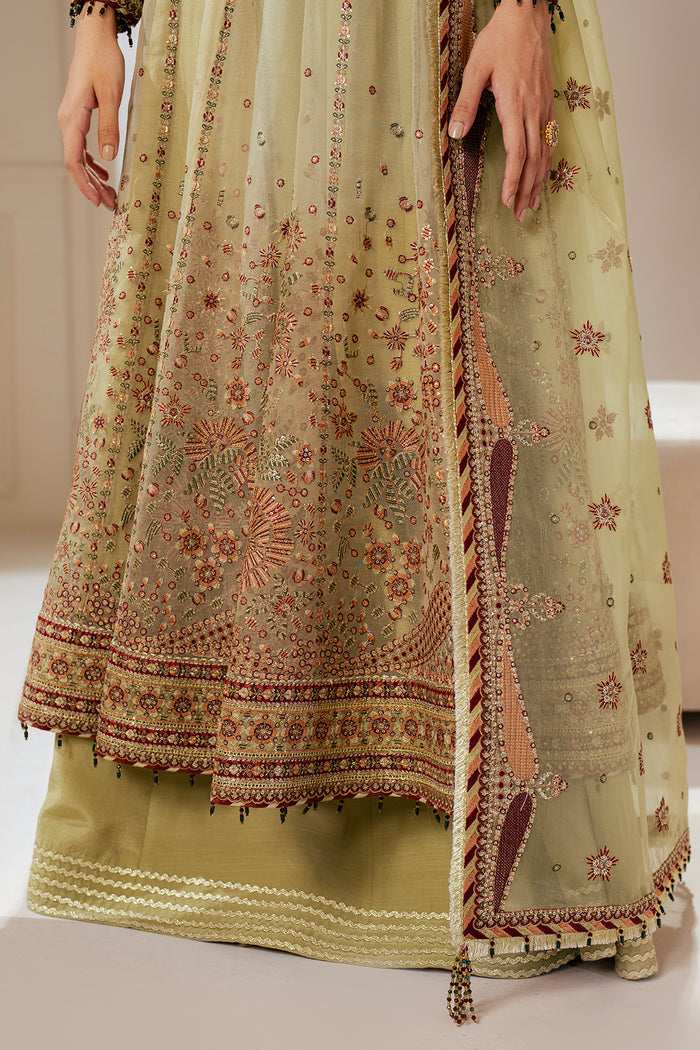 embroidered net dress