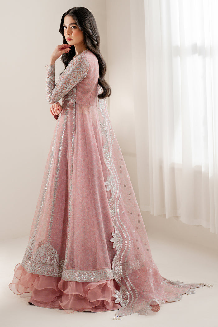 pakistani wear