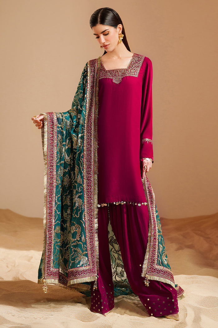 Embroidered Velvet Formal VVF25-D09