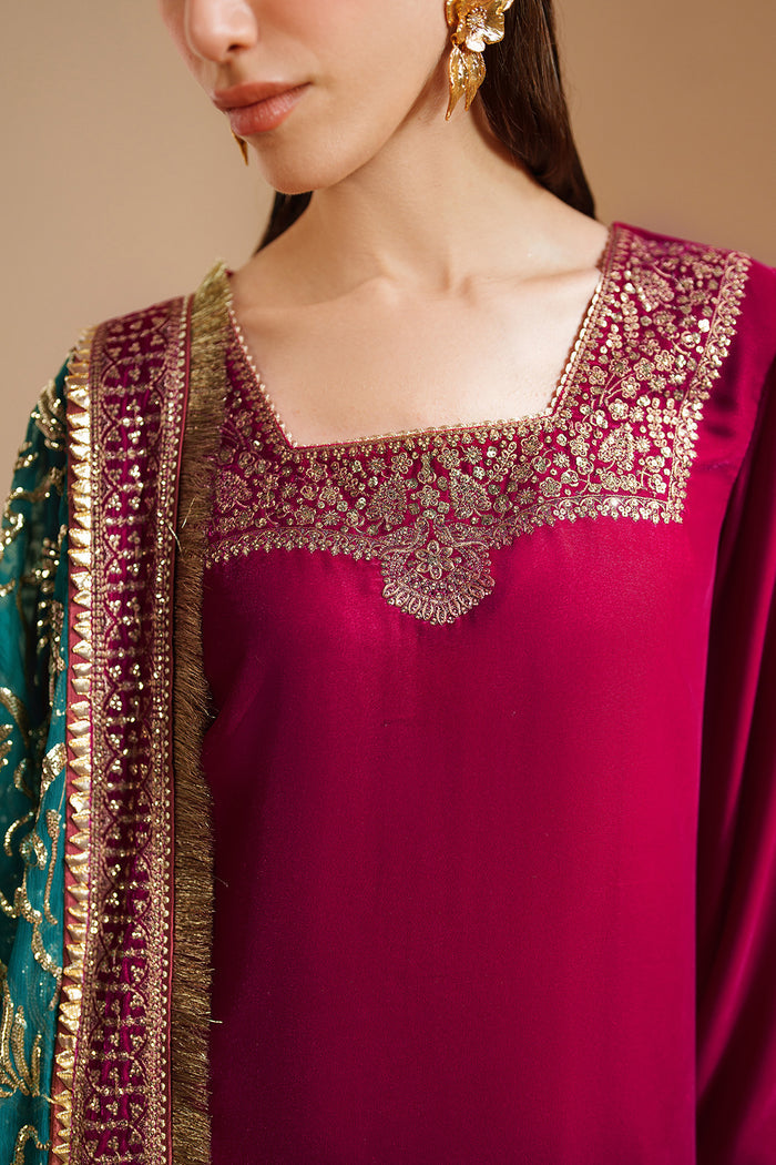 Embroidered Velvet Formal VVF25-D09