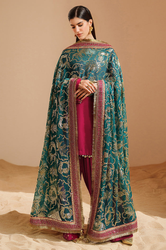 Embroidered Velvet Formal VVF25-D09