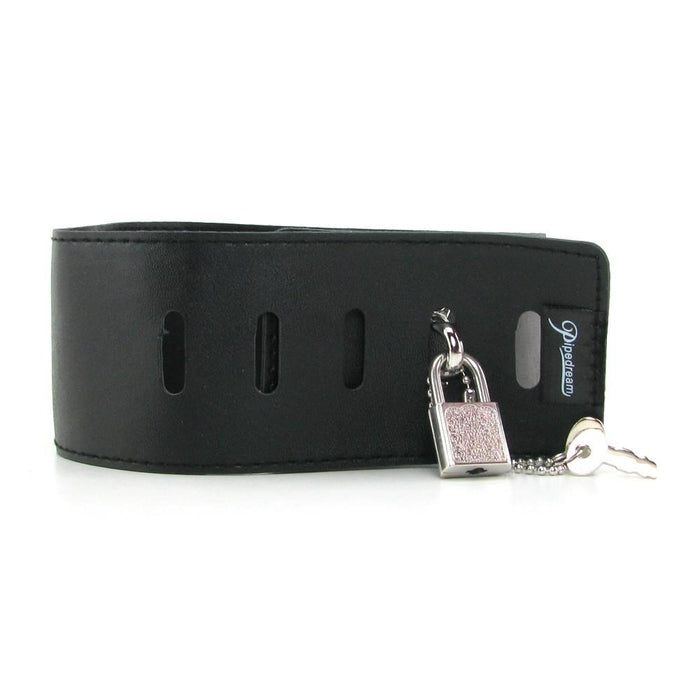 Fetish Fantasy Leather Collar & Nipple Clamp Set
