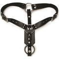 Kinklab Anal Plug Harness With Cock Ring