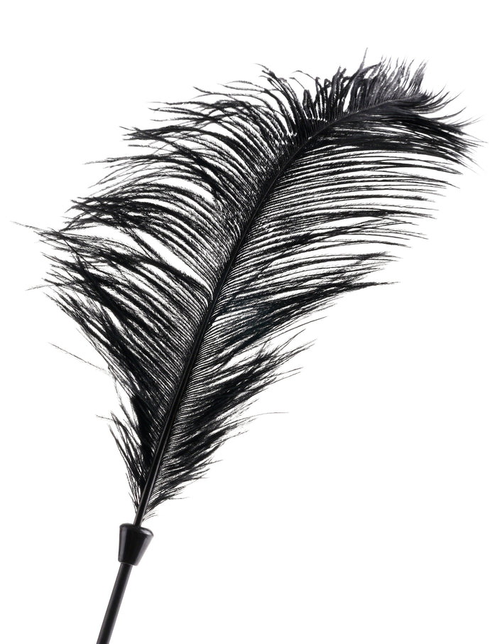 Love Plumes