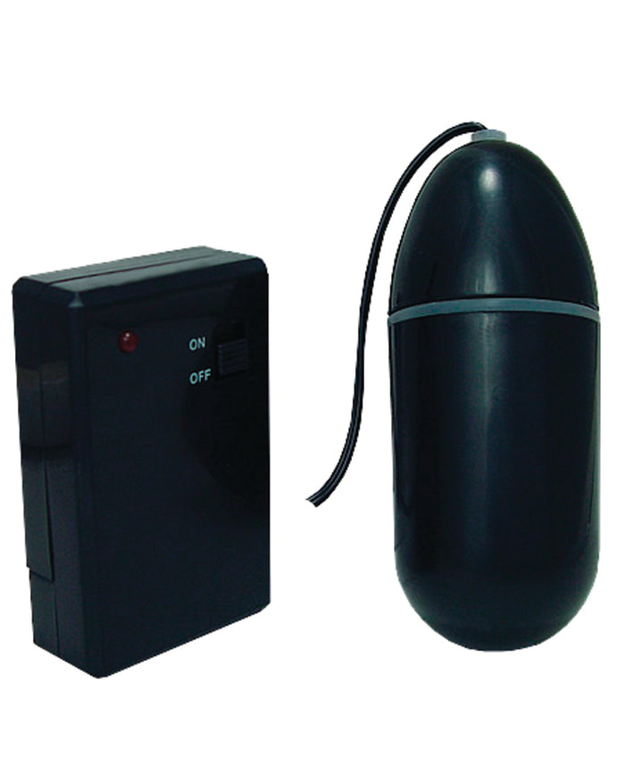 Waterproof Remote Control Bullet